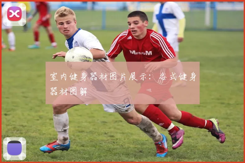 室内健身器材图片展示：各式健身器材图解