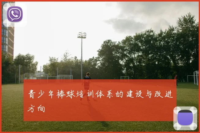 青少年棒球培训体系的建设与改进方向