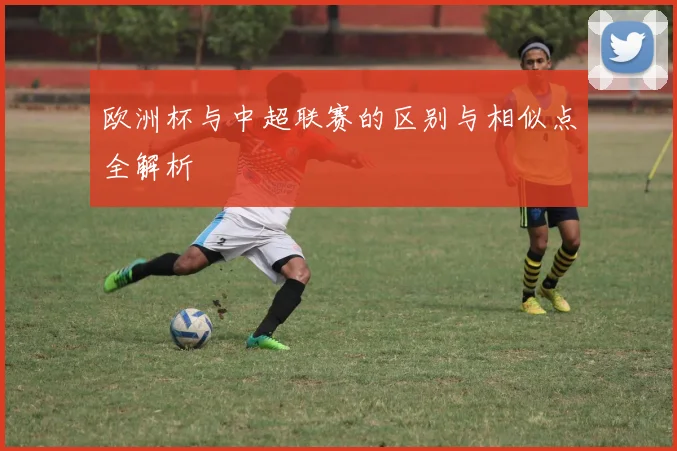 欧洲杯与中超联赛的区别与相似点全解析