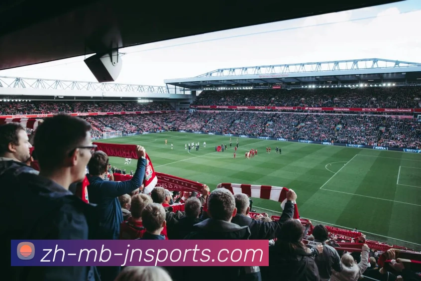 App Interface Preview